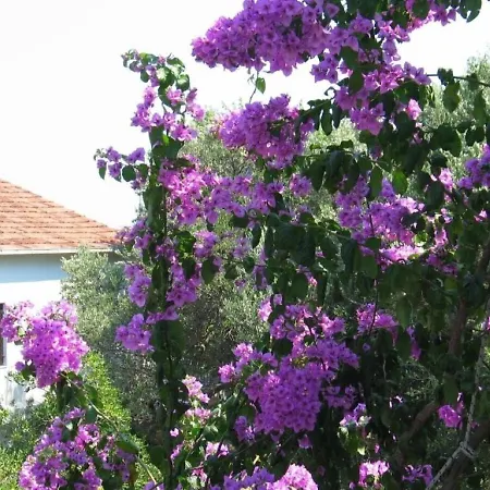 Lucky - 150m From The Sea Apartment